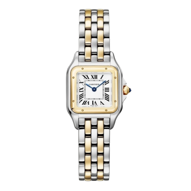 Cartier Panthere Orta Boy, 2024