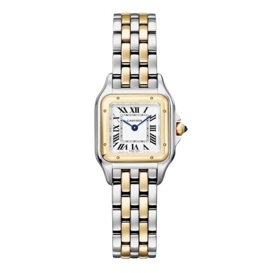 Cartier Panthere Orta Boy, 2024